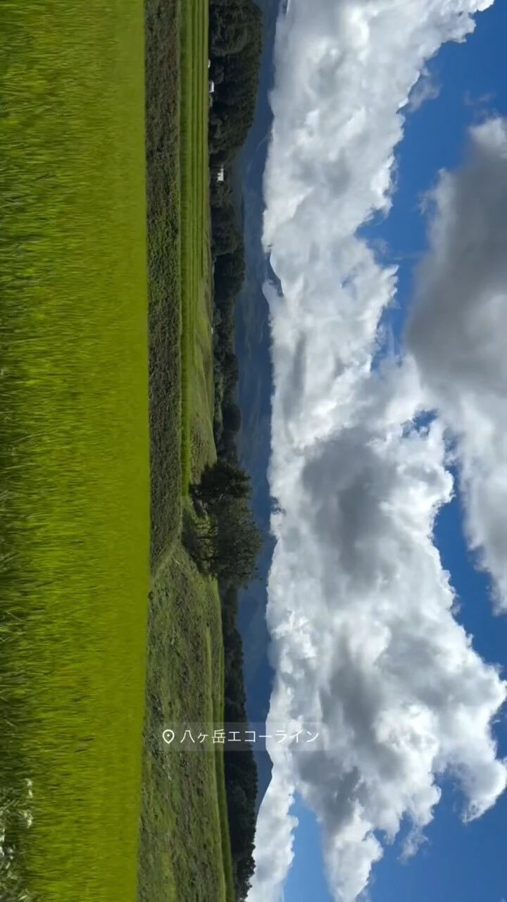 夏の思い出🦋🏔️👒🌻